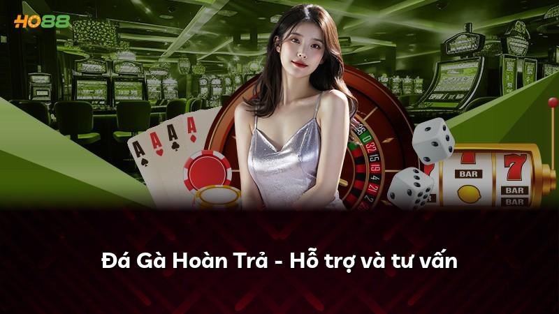 Đá Gà Hoàn Trả - Hỗ trợ và tư vấn